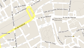 google map